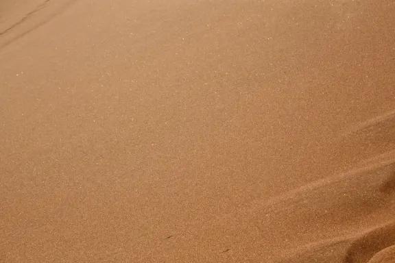 קזינו בינגו מיליונר תמיכה